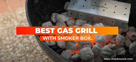 Six Best Smoker Boxes For Your Gas Grill: Buying Guide And 